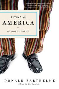 Produktbild: Flying to America