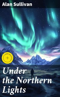 Produktbild: Under the Northern Lights