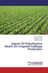 Produktbild: Impact Of Polyethylene Mulch On Irrigated Cabbage Production
