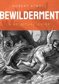 Produktbild: Bewilderment