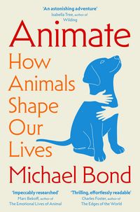 Produktbild: Animate