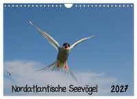 Produktbild: Nordatlantische Seev&ouml;gel (Wandkalender 2027 DIN A4 quer), CALVENDO Monatskalender