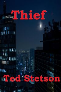 Produktbild: Thief (Science Fiction, #9)
