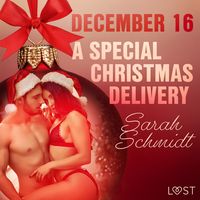Produktbild: December 16: A Special Christmas Delivery &ndash; An Erotic Christmas Calendar