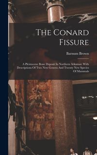 Produktbild: The Conard Fissure