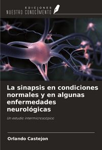 Produktbild: La sinapsis en condiciones normales y en algunas enfermedades neurol&oacute;gicas