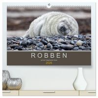Produktbild: Robben auf der Helgol&auml;nder D&uuml;ne (hochwertiger Premium Wandkalender 2026 DIN A2 quer), Kunstdruck in Hochglanz