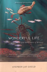 Produktbild: Wonderful Life