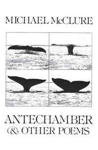 Produktbild: Antechamber