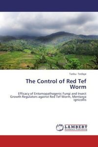 Produktbild: Tesfaye, T: Control of Red Tef Worm