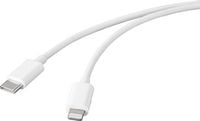 Produktbild: Renkforce USB-Kabel USB 2.0 USB-C&reg; Stecker, Apple Lightning Stecker 1.00m Wei&szlig; RF-5042728
