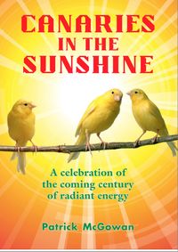 Produktbild: Canaries in the Sunshine