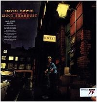 Bild vom Artikel The Rise and Fall, 1 Schallplatte (Limited Edition) vom Autor David Bowie