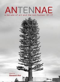 Produktbild: Antennae 10
