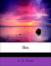 Produktbild: Evans, A: Ibis