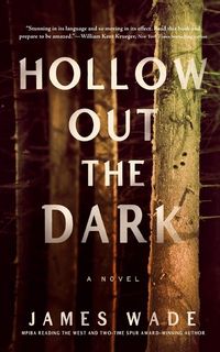 Produktbild: Hollow Out the Dark