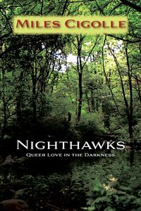 Produktbild: Nighthawks