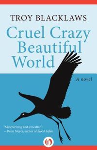 Produktbild: Cruel Crazy Beautiful World