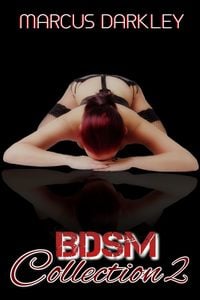 Produktbild: BDSM Collection 2