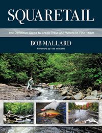 Produktbild: Squaretail