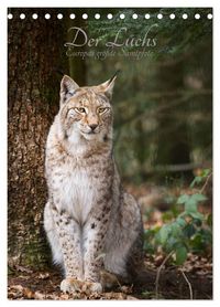 Produktbild: Der Luchs - Europas gr&ouml;&szlig;te Samtpfote (Tischkalender 2026 DIN A5 hoch), CALVENDO Monatskalender