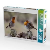 Produktbild: CALVENDO Puzzle Rotkehlchen dick und d&uuml;nn | 1000 Teile Lege-Gr&ouml;&szlig;e 64x48cm Foto-Puzzle f&uuml;r gl&uuml;ckliche Stunden