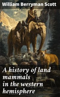 Produktbild: A history of land mammals in the western hemisphere