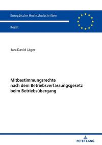 Produktbild: Mitbestimmungsrechte nach dem Betriebsverfassungsgesetz beim Betriebs&uuml;bergang