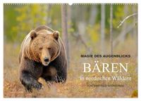 Produktbild: Magie des Augenblicks - B&auml;ren in nordischen W&auml;ldern (Wandkalender 2027 DIN A2 quer), CALVENDO Monatskalender