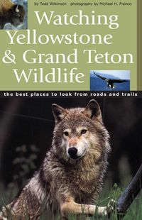 Produktbild: Watching Yellowstone & Grand Teton Wildlife