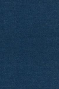 Produktbild: The Mortal Presidency