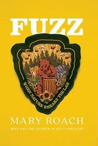 Produktbild: Fuzz