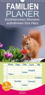 Bild vom Artikel Familienplaner Eichhörnchen Momentaufnahmen fürs Herz (Wandkalender 2023 , 21 cm x 45 cm, hoch) vom Autor Tine Meier