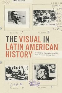 Produktbild: The Visual in Latin American History