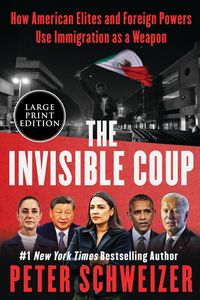 Produktbild: The Invisible Coup