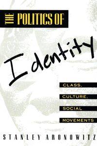 Produktbild: The Politics of Identity