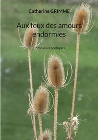 Produktbild: Aux feux des amours endormies