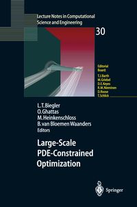 Produktbild: Large-Scale PDE-Constrained Optimization