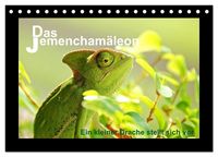 Produktbild: Das Jemencham&auml;leon (Tischkalender 2027 DIN A5 quer), CALVENDO Monatskalender