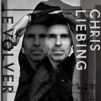 Produktbild: Evolver (2LP)
