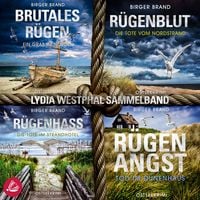 Produktbild: Lydia Westphal Band 13-16 Bundle