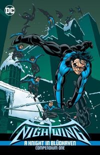Produktbild: Nightwing: A Knight in Bludhaven Compendium Book One