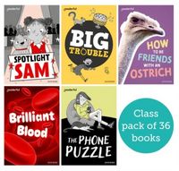 Produktbild: Readerful Rise: Oxford Reading Level 7: Class Pack A