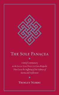 Produktbild: The Sole Panacea