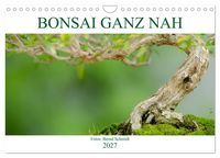 Produktbild: Bonsai ganz nah (Wandkalender 2027 DIN A4 quer), CALVENDO Monatskalender