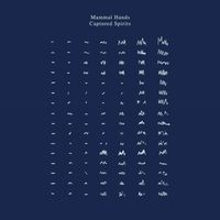 Produktbild: Captured Spirits