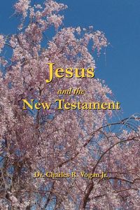 Produktbild: Jesus and the New Testament