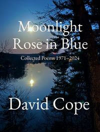 Produktbild: Moonlight Rose in Blue