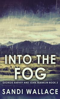 Produktbild: Into The Fog