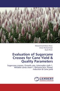 Produktbild: Evaluation of Sugarcane Crosses for Cane Yield & Quality Parameters